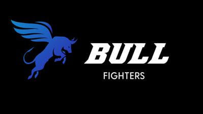 Bullfighters